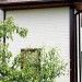 Фасадная панель Grand Line Сланец молочный купить в Бронницах